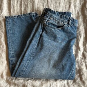 Madewell Women's darted barrel Jean 28p petite
